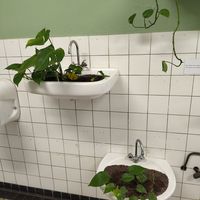  at De Groene Afslag in Bussum