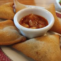 Samosas at De Groene Afslag in Bussum