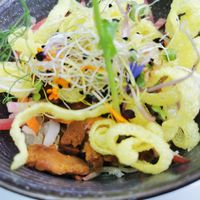 Vegetarian Vietnamese salad with seitan  at Le Vegetarium in La Gacilly