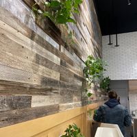 healthy, happy plants   at Hummus Republic in Burbank