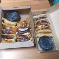 Vegan gyoza with soy sauce+vinegar at FIL in Tokyo