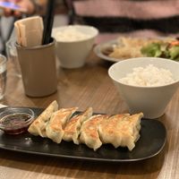 Soy meat gyoza  at FIL in Tokyo