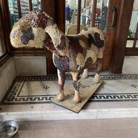 A welcoming friend! at Cornucopia Natural Market & Deli in Galesburg
