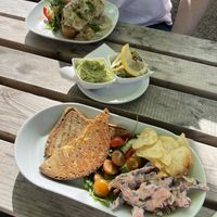 Vegan cheese toastie on gluten free bread, garlic mushrooms on toast & smashed avocado 🌱  at Secret Garden Cafe in Clitheroe