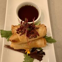 Fried rolls with veggies and mung bean at Ohana Sushi Vegan in Montreal