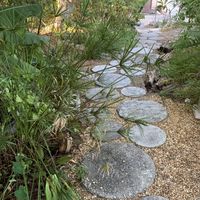 Walking path on property at Floresta Cafe in Delray Beach