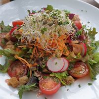 Salad with raspberry dressing (big but not very filling) at Der Schafstall in Handeloh