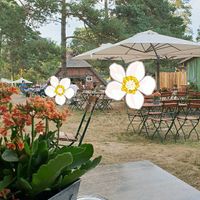 The garden at Der Schafstall in Handeloh