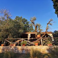 Casa degli ulivi at La Casa Degli Ulivi in Castagneto Carducci
