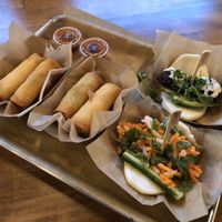 Vegan spring rolls and bad buns at Banh Mi Station in Dallas
