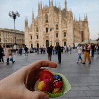 Crostatina alla frutta at Leccornie in Milan