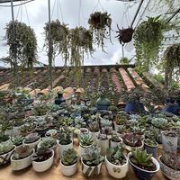   at Phin Coffee in Hoi An