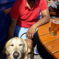 Dog friendly when you sit outdoors at Oslo Bar in Galway