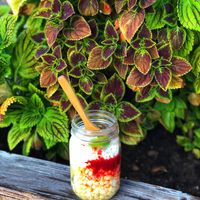 Corn in my own cup ;) at The Green Table in Victoria