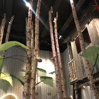 Decor in the restaurant at Hans im Glück - Sonnenstr in Munich