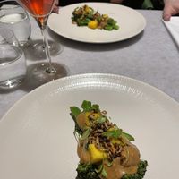 Broccoli   at Land in Birmingham