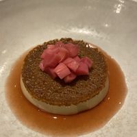 Rhubarb   at Land in Birmingham