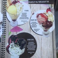 Fully vegan ice cream from the menu. at Källa Glassgård in Lottorp