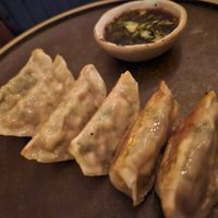 Vegetable gyoza at Umami Ramen & Izakaya in Montreal