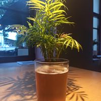  at RoseHip Bistro - Pylimo in Vilnius