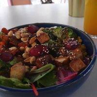 Marinated Tofu and Brown Rice Bowl at RoseHip Bistro - Pylimo in Vilnius