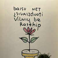 Need to translate this...  at RoseHip Bistro - Pylimo in Vilnius