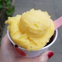 Chocolate + Passionfruit at Frau Meis Eisladen in Hamburg