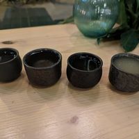 Sake tasting at Plant Based Sushi in Amsterdam
