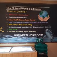 Save the world wall at Natural World Market & Cafe in Redondo Beach