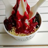 Frozen yogurt at YOMARO in Krefeld