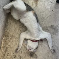   at Filthy Vegan in Ho Chi Minh City