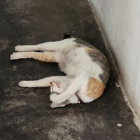  at Filthy Vegan in Ho Chi Minh City