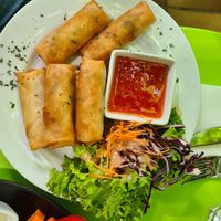 Spring roles at Green Flamingo in Innsbruck
