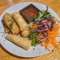 Fried Spring Rolls (8/10) at Green Flamingo in Innsbruck