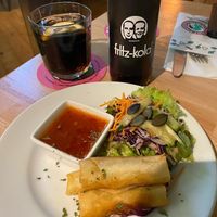 starter  at Green Flamingo in Innsbruck