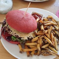  at Green Flamingo in Innsbruck