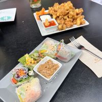   at Green Flamingo in Innsbruck