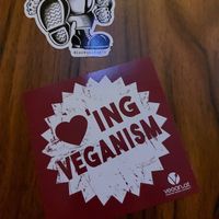 Toilet with lots of vegan stickers, I loved it😂 at Green Flamingo in Innsbruck