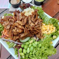 bowl mit Gyros topping at Green Flamingo in Innsbruck