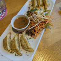  at Green Flamingo in Innsbruck