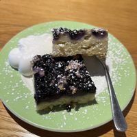   at Green Flamingo in Innsbruck