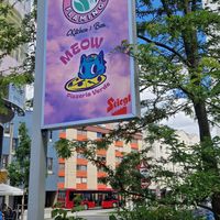  at Green Flamingo in Innsbruck