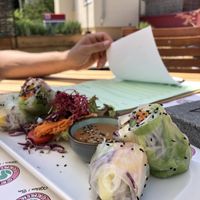 Summer rolls with peanut dip at Green Flamingo in Innsbruck