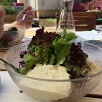 Cold veggie Bowl with humus at Green Flamingo in Innsbruck