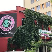 🌱 at Green Flamingo in Innsbruck