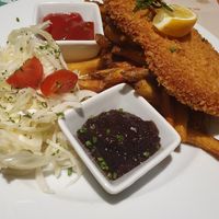 March special: Schnitzel with fries, jam and cabbage salad, delicious and crispy! at Green Flamingo in Innsbruck