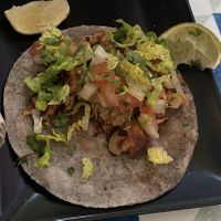   at VEGA - Alamo in Madrid