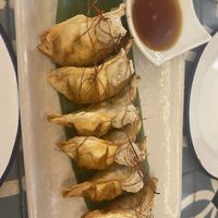   at VEGA - Alamo in Madrid