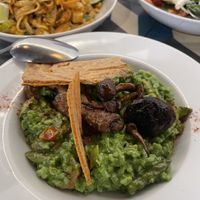   at VEGA - Alamo in Madrid