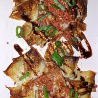 Artichoke at VEGA - Alamo in Madrid